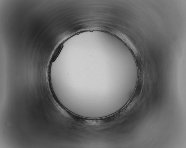 X0000087330805200705112156
