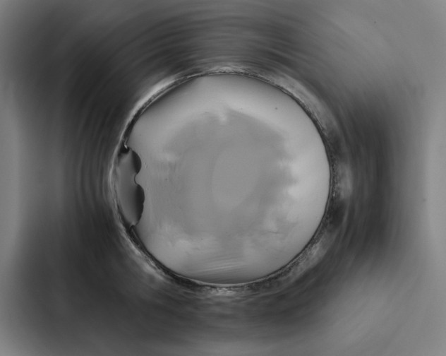 X0000087330806200705112156