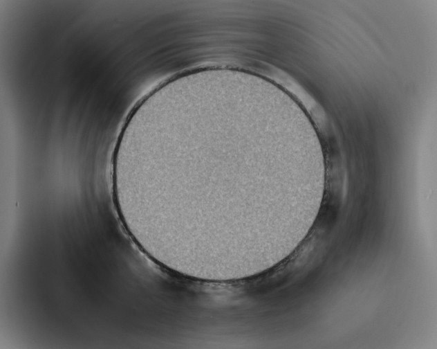 X0000087330807200705112156