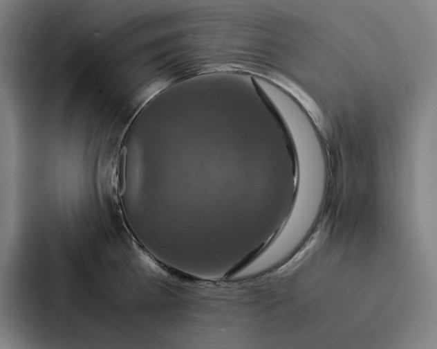 X0000087330809200705112155