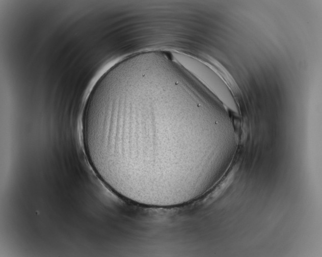 X0000087330812200705112155
