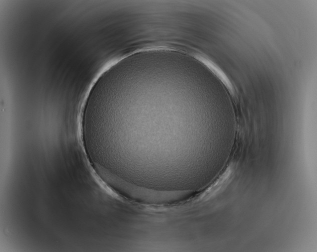 X0000087330813200705112155