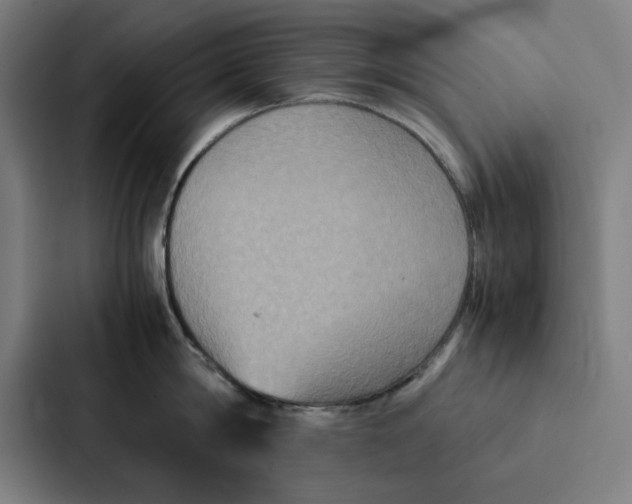 X0000087330814200705112155