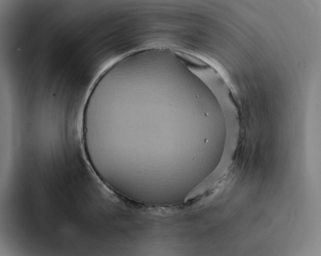 X0000087330815200705112155