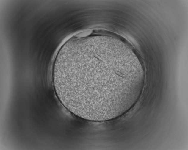 X0000087330816200705112155