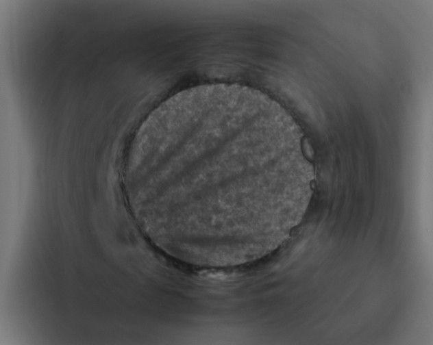 X0000087330817200705112155