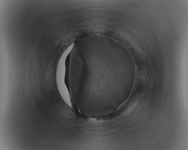 X0000087330818200705112155