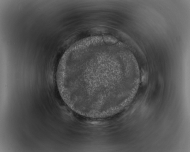 X0000087330819200705112155