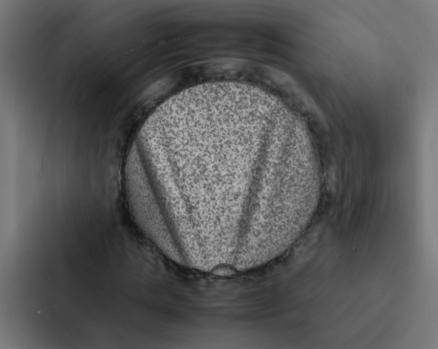 X0000087330821200705112155