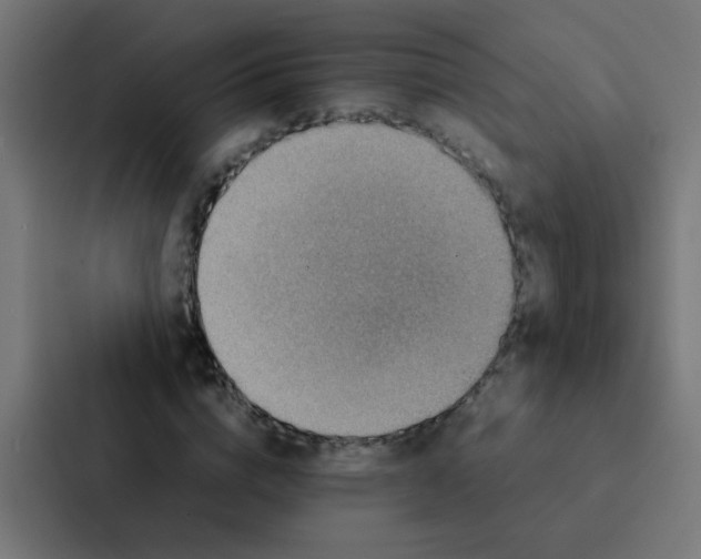 X0000087330824200705112155