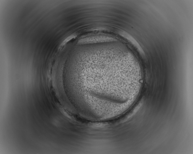 X0000087330826200705112155