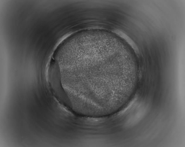 X0000087330829200705112155