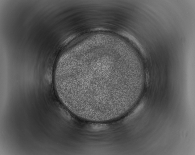 X0000087330833200705112155