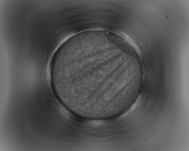 X0000087330835200705112155