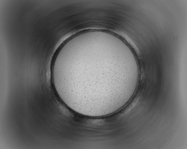 X0000087330837200705112155