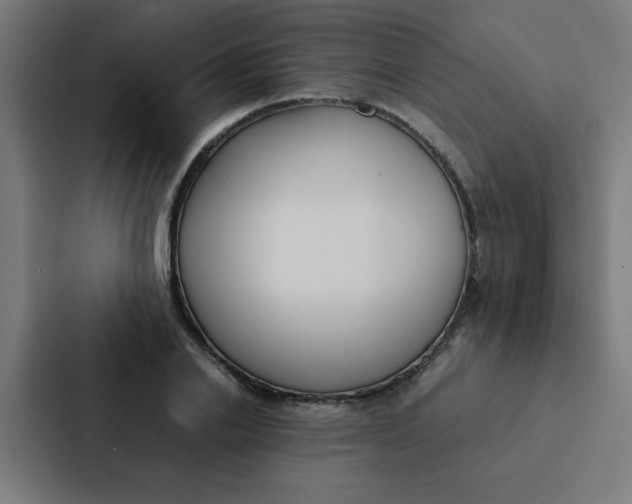 X0000087330838200705112155