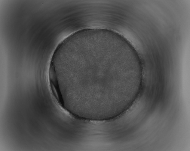 X0000087330840200705112155