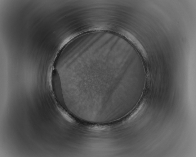 X0000087330842200705112155