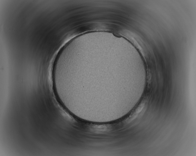 X0000087330843200705112155