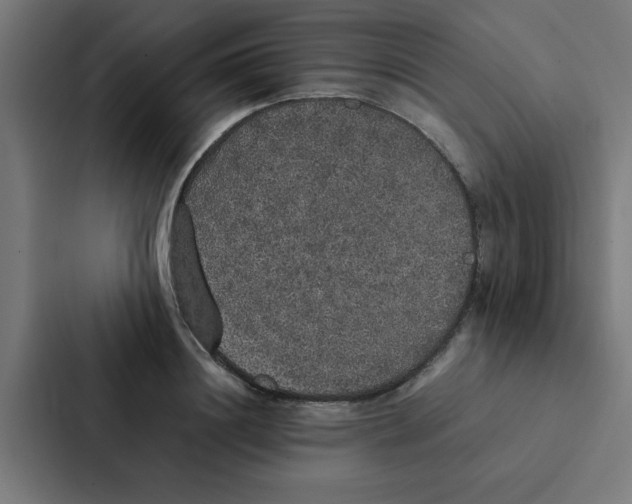 X0000087330844200705112155