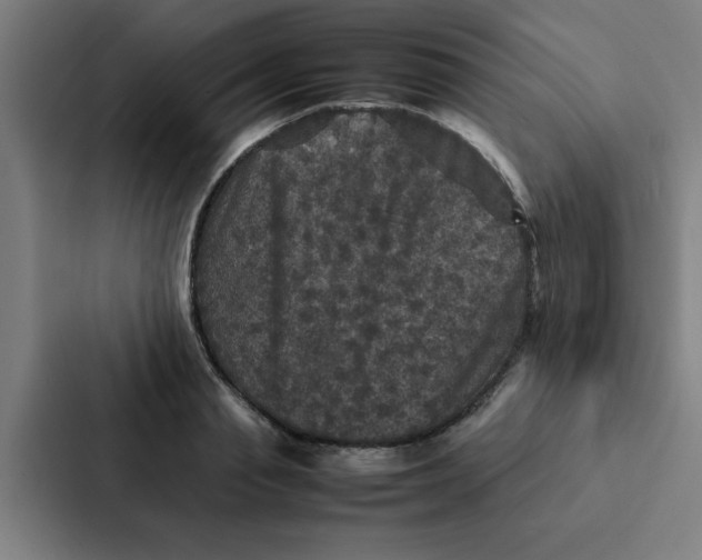 X0000087330845200705112155