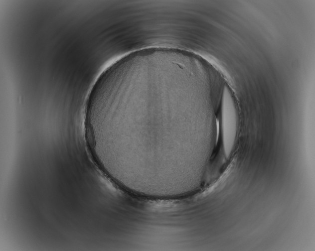 X0000087330846200705112155