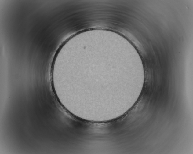 X0000087330848200705112155
