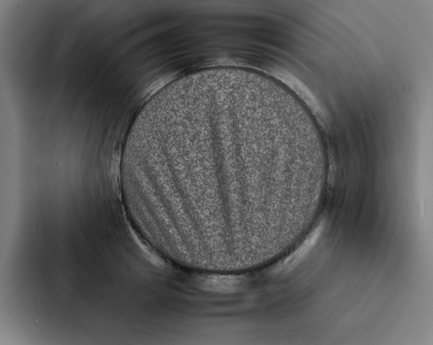X0000087330849200705112155