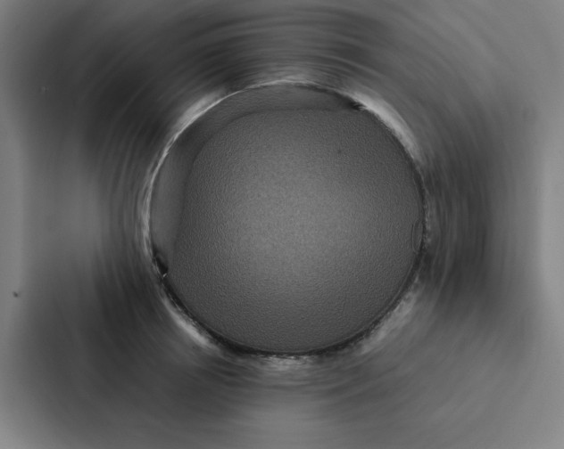 X0000087330850200705112155