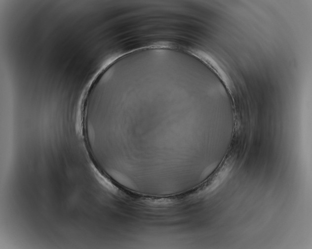 X0000087330851200705112155