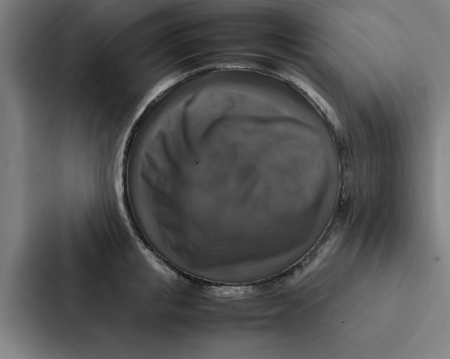 X0000087330853200705112155