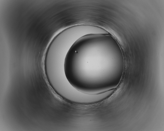 X0000087330854200705112155