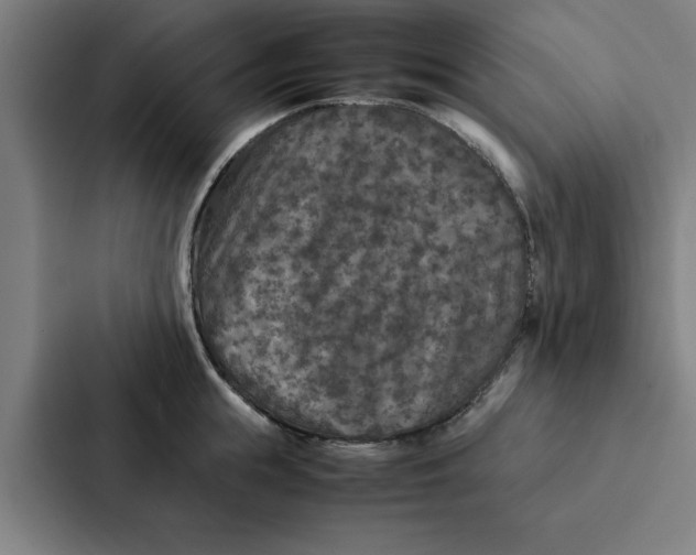 X0000087330855200705112155