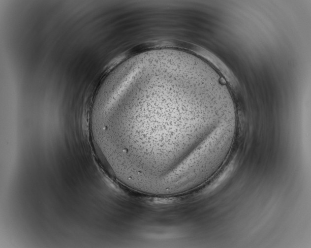 X0000087330857200705112155