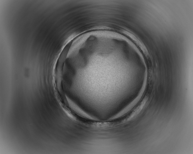 X0000087330858200705112155