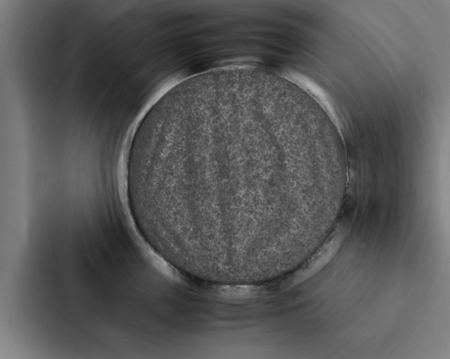 X0000087330859200705112155