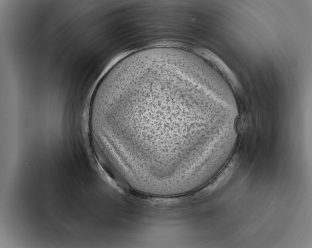 X0000087330860200705112155