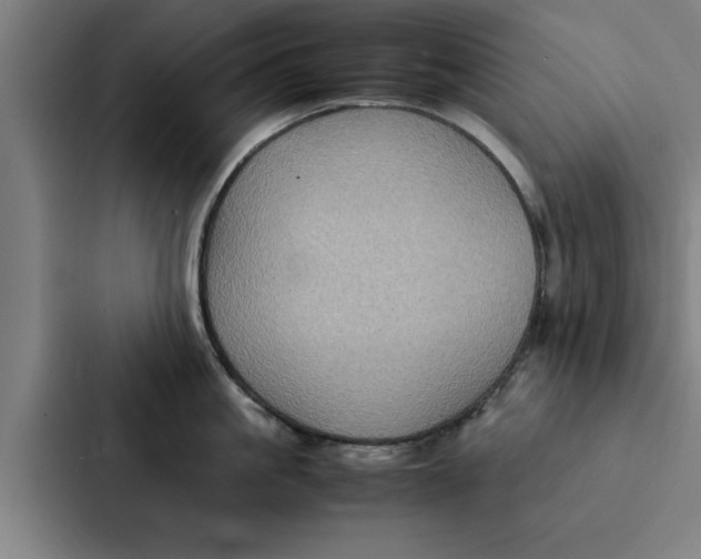 X0000087330861200705112155