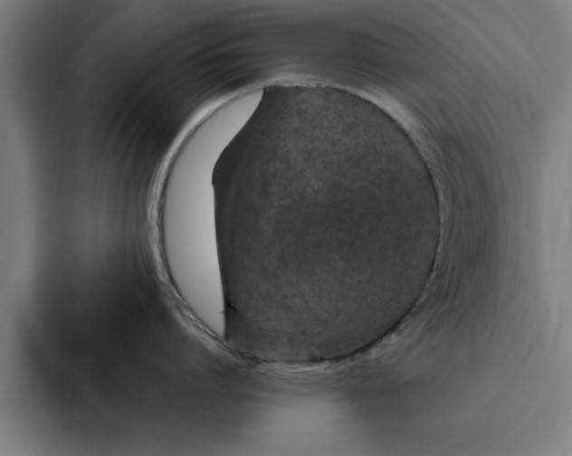 X0000087330864200705112155
