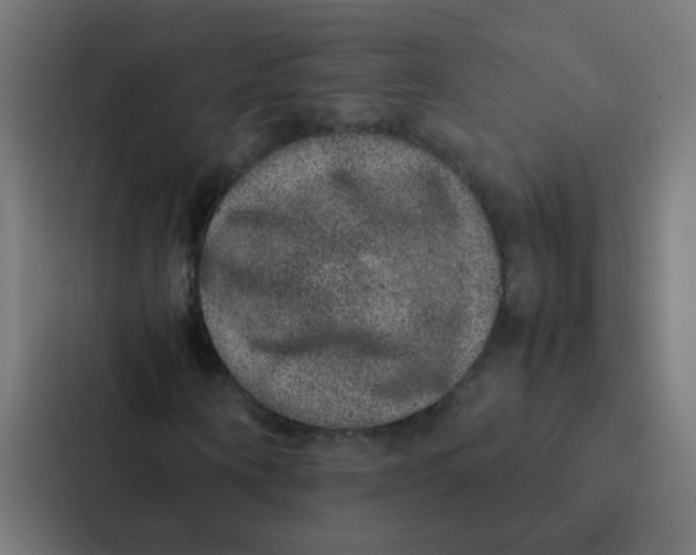 X0000087330866200705112155