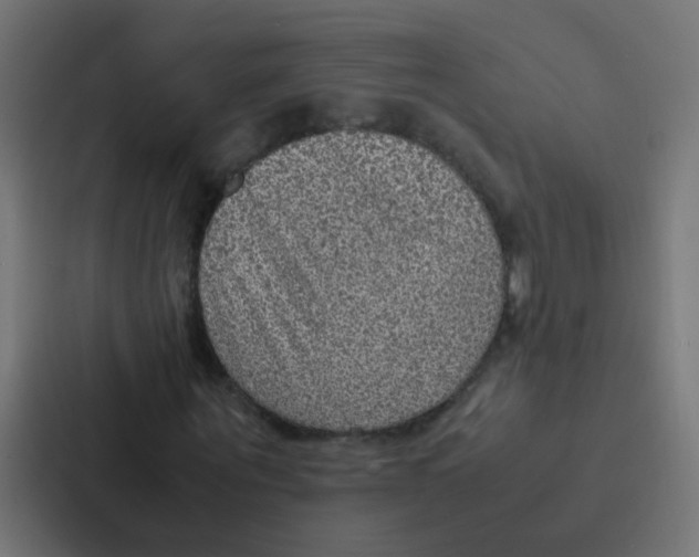 X0000087330867200705112155