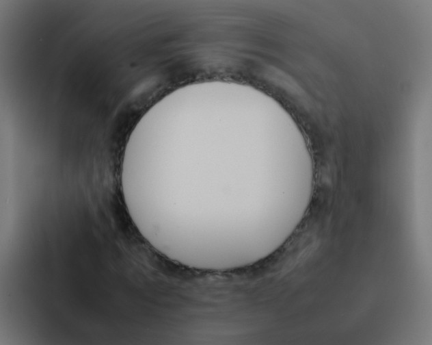 X0000087330869200705112155