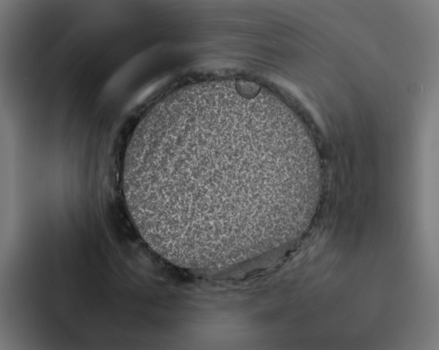 X0000087330871200705112155