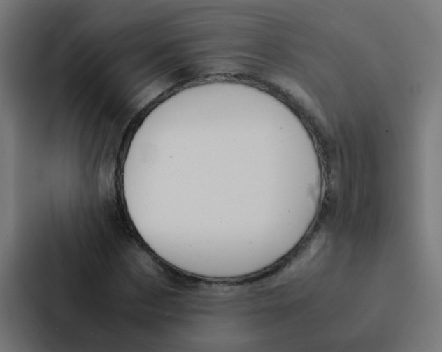 X0000087330873200705112155