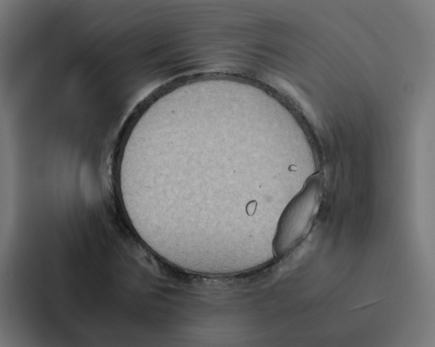 X0000087330875200705112155