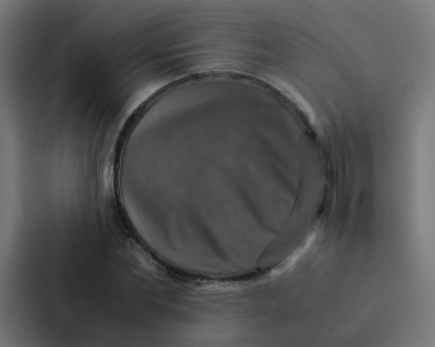 X0000087330877200705112155