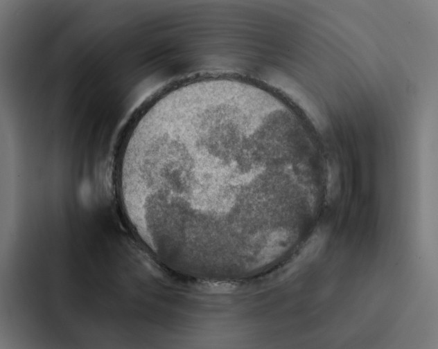 X0000087330878200705112155