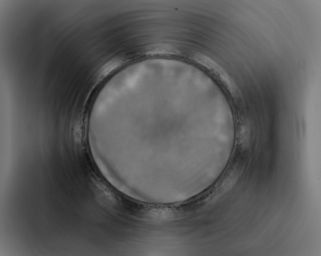 X0000087330882200705112155