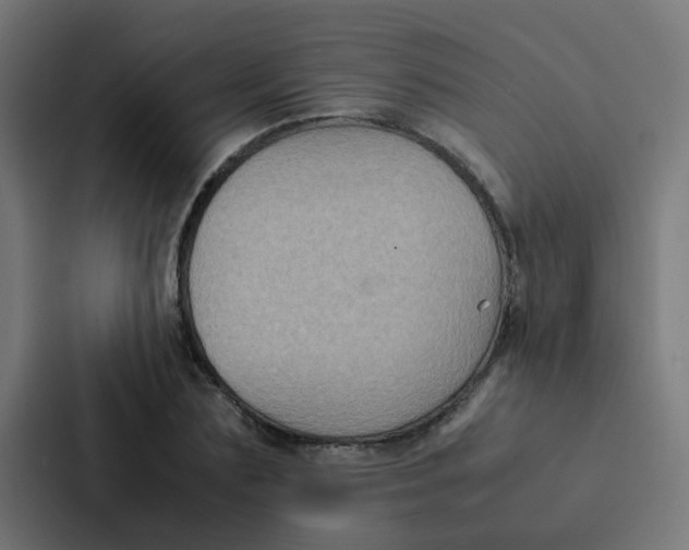 X0000087330883200705112155