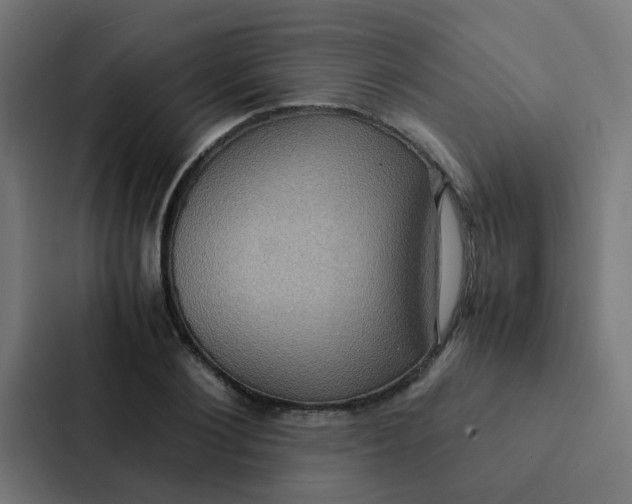 X0000087330884200705112155